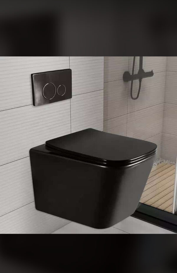 Black Conduit Water Closet - Model BT365-TCT2