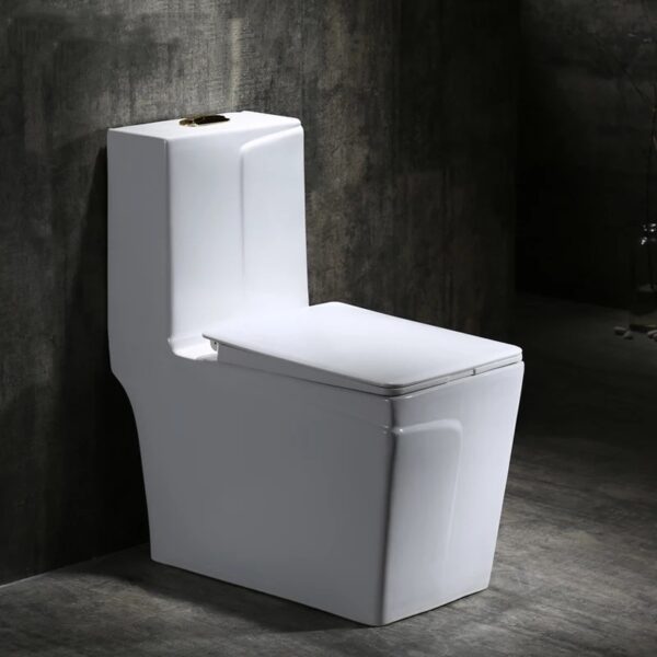 Executive L Italian Designer Water Closet in White - Model BT-CC21-1