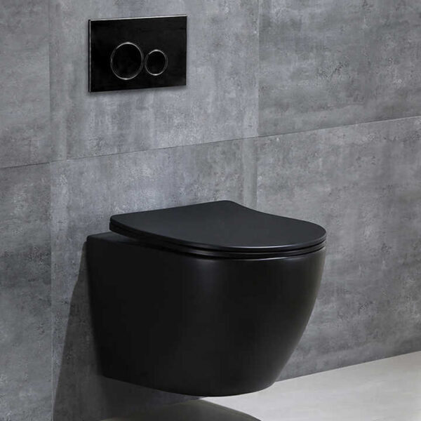 Matte Black Executive Round Pan Concealed Toilet